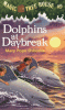 Cover image of Dolphins at daybreak