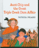 Cover image of Aunt Chip and the great Triple Creek dam affair
