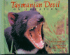 Cover image of Tasmanian devil