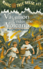 Cover image of Vacation under the volcano