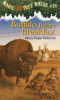 Cover image of Buffalo before breakfast