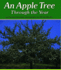 Cover image of An apple tree through the year