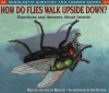 Cover image of How do flies walk upside down?