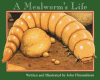 Cover image of A mealworm's life
