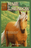 Cover image of Mare in the meadow