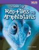 Cover image of Slithering reptiles and amphibians