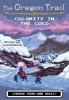 Cover image of Calamity in the cold