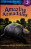 Cover image of Amazing armadillos