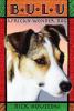 Cover image of Bulu, African wonder dog