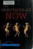 Cover image of The spectacular now