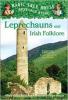 Cover image of Leprechauns and Irish folklore