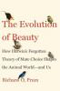 Cover image of The evolution of beauty