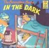 Cover image of The Berenstain bears in the dark