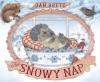 Cover image of The snowy nap