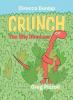 Cover image of Crunch, the shy dinosaur