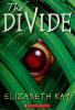 Cover image of The Divide