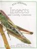 Cover image of Insects and crawly creatures