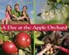 Cover image of A day at the apple orchard
