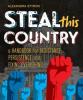 Cover image of Steal this country