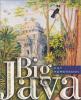 Cover image of Big Java