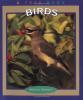 Cover image of Birds