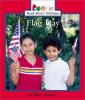 Cover image of Flag Day