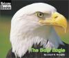 Cover image of The bald eagle