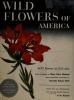 Cover image of Wild flowers of America