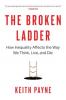 Cover image of The broken ladder