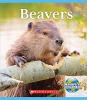 Cover image of Beavers