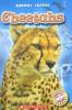 Cover image of Cheetahs