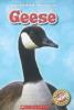 Cover image of Geese