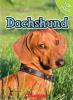 Cover image of Dachshund