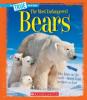 Cover image of Bears