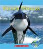 Cover image of Killer whales