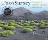 Cover image of Life on Surtsey