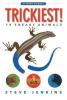 Cover image of Trickiest!