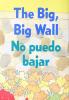 Cover image of The big, big wall =