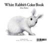 Cover image of White Rabbit's color book
