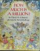 Cover image of How much is a million?