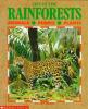 Cover image of Life in the Rainforests     Animals* People*Plants