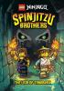 Cover image of Spinjitzu Brothers #2: The Lair of Tanabrax (Lego Ninjago)