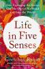 Cover image of Life in Five Senses