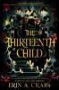 Cover image of The thirteenth child