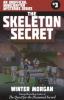 Cover image of The skeleton secret