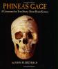 Cover image of Phineas Gage