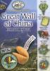 Cover image of The mystery on the Great Wall of China