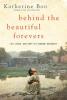 Cover image of Behind the beautiful forevers
