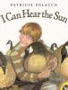 Cover image of I can hear the sun