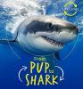 Cover image of From pup to shark